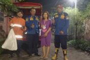 Ular Piton 5 Meter Mendesis di Atas Plafon Rumah Warga Gresik