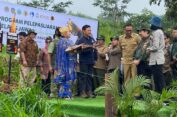 KLHK Bersama TSI dan Smelting Lepasliarkan Dua Elang Jawa