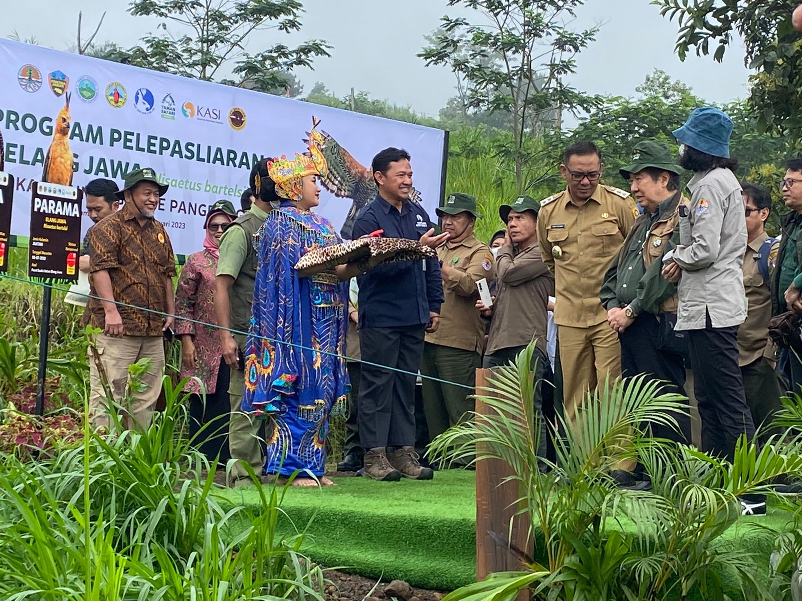 KLHK Bersama TSI dan Smelting Lepasliarkan Dua Elang Jawa