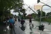 Hujan Disertai Angin Kencang di Pantura Gresik, Pohon hingga Tiang Listrik Roboh