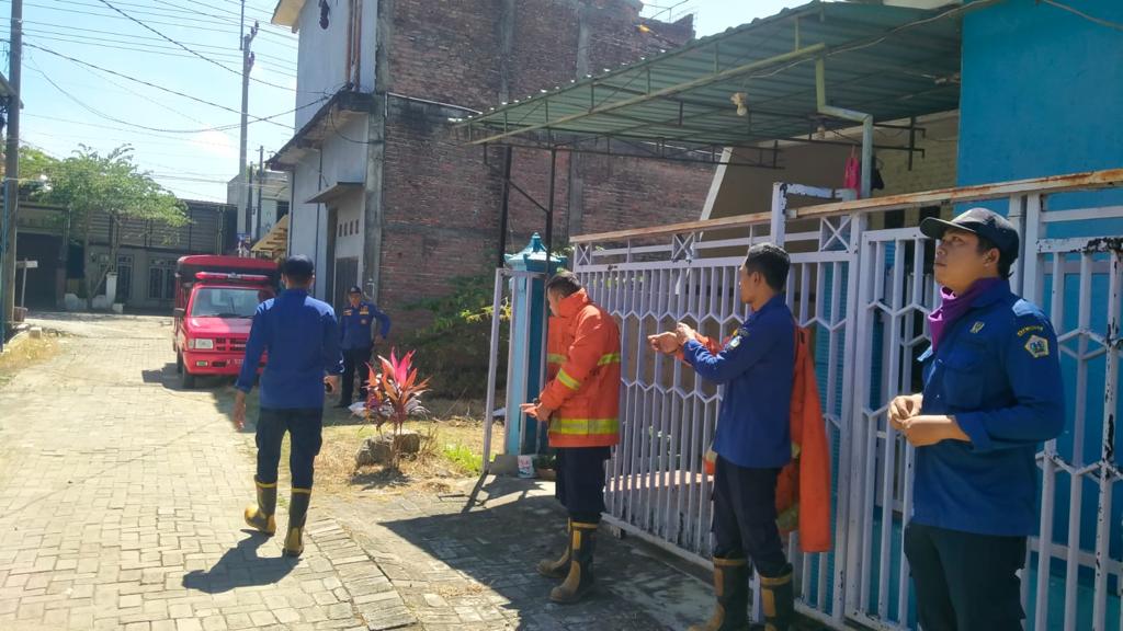 Khawatir Sarang Tawon Vespa Membesar dan Membahayakan, Minta Bantuan Evakuasi Damkrala Gresik