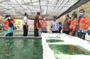 Inovasi Dekarbonisasi, SBI Pabrik Cilacap Budidaya Mikroalga