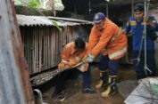 Warga Gresik Niat Beri Pakan Bebek, Justru Nongol Ular Piton 4 Meter