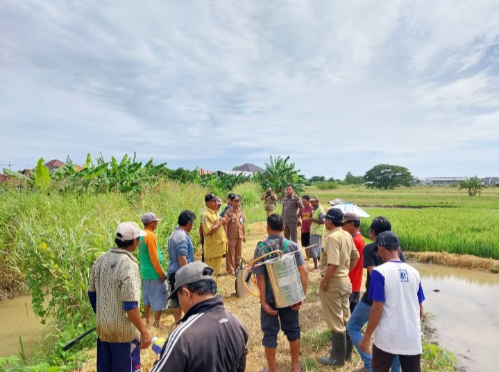Berdasarkan Skala Prioritas Wilayah, Distan Gresik Tangani POPT