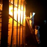 Sengat Anak Tetangga, Sarang Tawon Vespa di Rumah Kosong Dibakar Damkarla Gresik