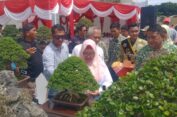 Wabup Bu Min: Budidaya Bonsai Potensial Dikembangkan di Gresik