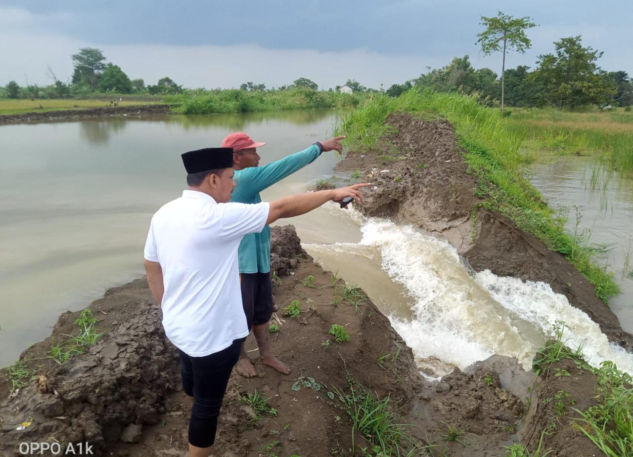 Tanggul Anak Kali Lamong Jebol, Sawah Warga di Gresik Terendam