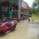 Bengawan Solo di Gresik Meluap, Desa Bungah Terendam Banjir