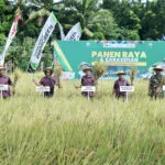 PPL Inspirasi, Strategi PG agar Konsumen Tertarik Produk Pupuk Non Subsidi