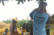 Distribusi Pupuk Subsidi yang Molor masih Jadi Problem Klasik Keluhan Petani