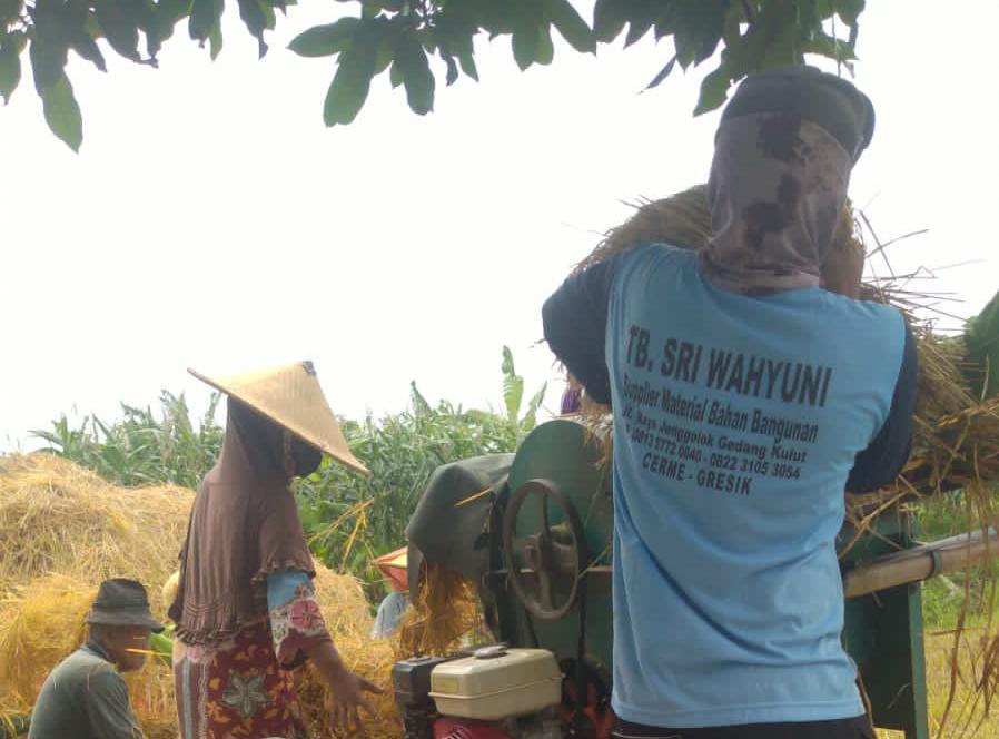 Distribusi Pupuk Subsidi yang Molor masih Jadi Problem Klasik Keluhan Petani