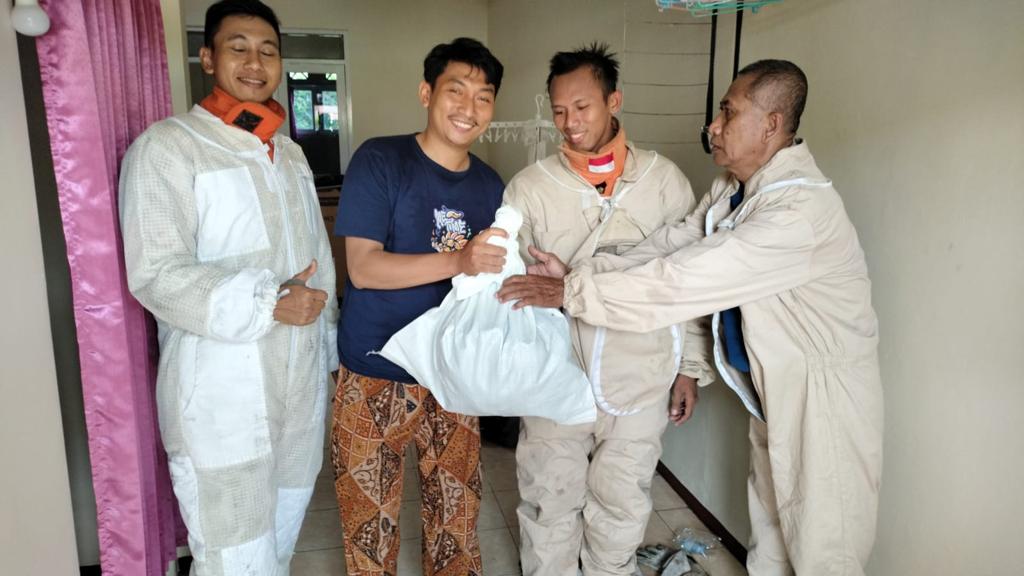 Sarang Tawon Vespa Raksasa Teror Warga Bungah Gresik