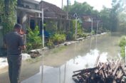 Kali Lamong Meluap, Dua Desa di Balongpanggang Gresik Terendam