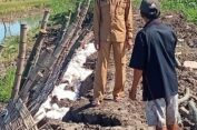 Tanggul Anak Kali Lamong  di Cermenlerek Jebol Lagi