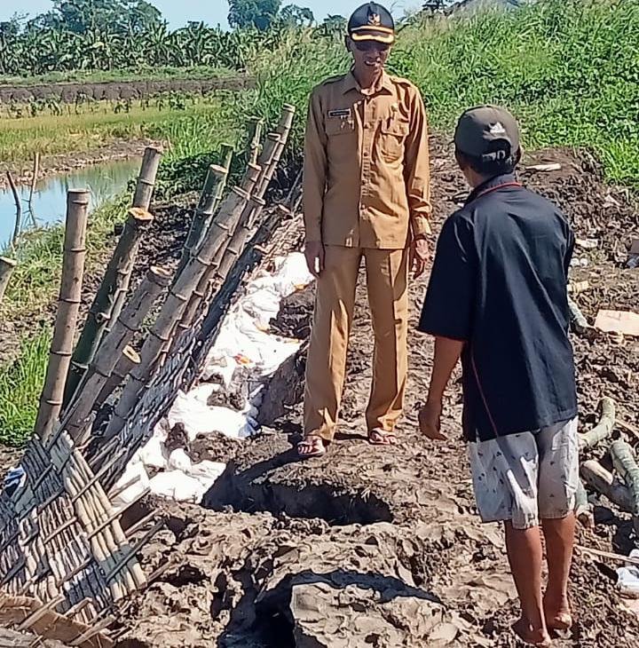 Tanggul Anak Kali Lamong  di Cermenlerek Jebol Lagi