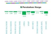 Angkutan Udara, Sumbang Deflasi Terbesar di Februari 2023