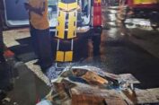 Di Gresik, Truk Gagal Nyalip Seruduk Pemotor hingga Tewas