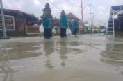Kali Lamong Meluap di Gresik, Ratusan Rumah dan Persawahan Terendam Banjir