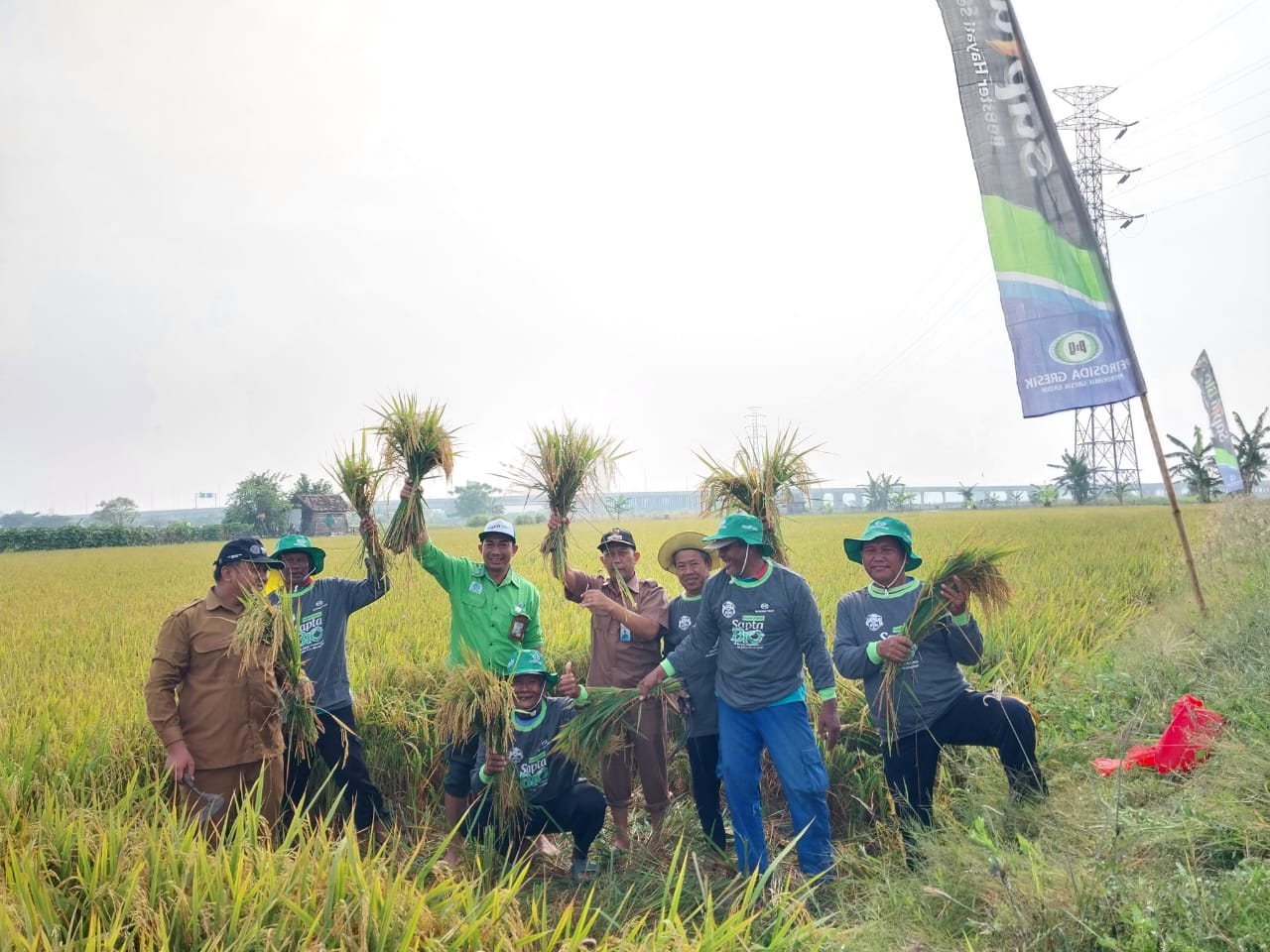 Panen Raya Hasil Ubinan Petani di Gresik Capai 10.11 Ton Perhektar