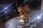 Ular Piton Besar Ngumpet di Selokan Depan Rumah Warga di Gresik