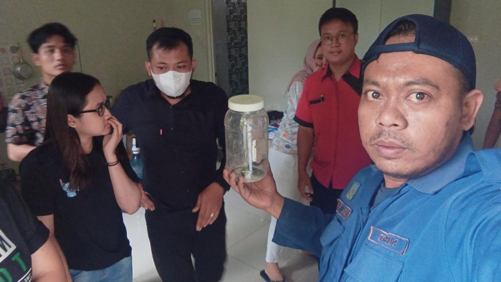 Damkarla Gresik Kesulitan Tangkap Induk dan Ular Kobra di GKB
