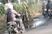 Warga Tanami Pohon Pisang di Jalan Rusak, DPRD Gresik Desak DPUTR Perbaiki Gunakan Aspal Hotmix