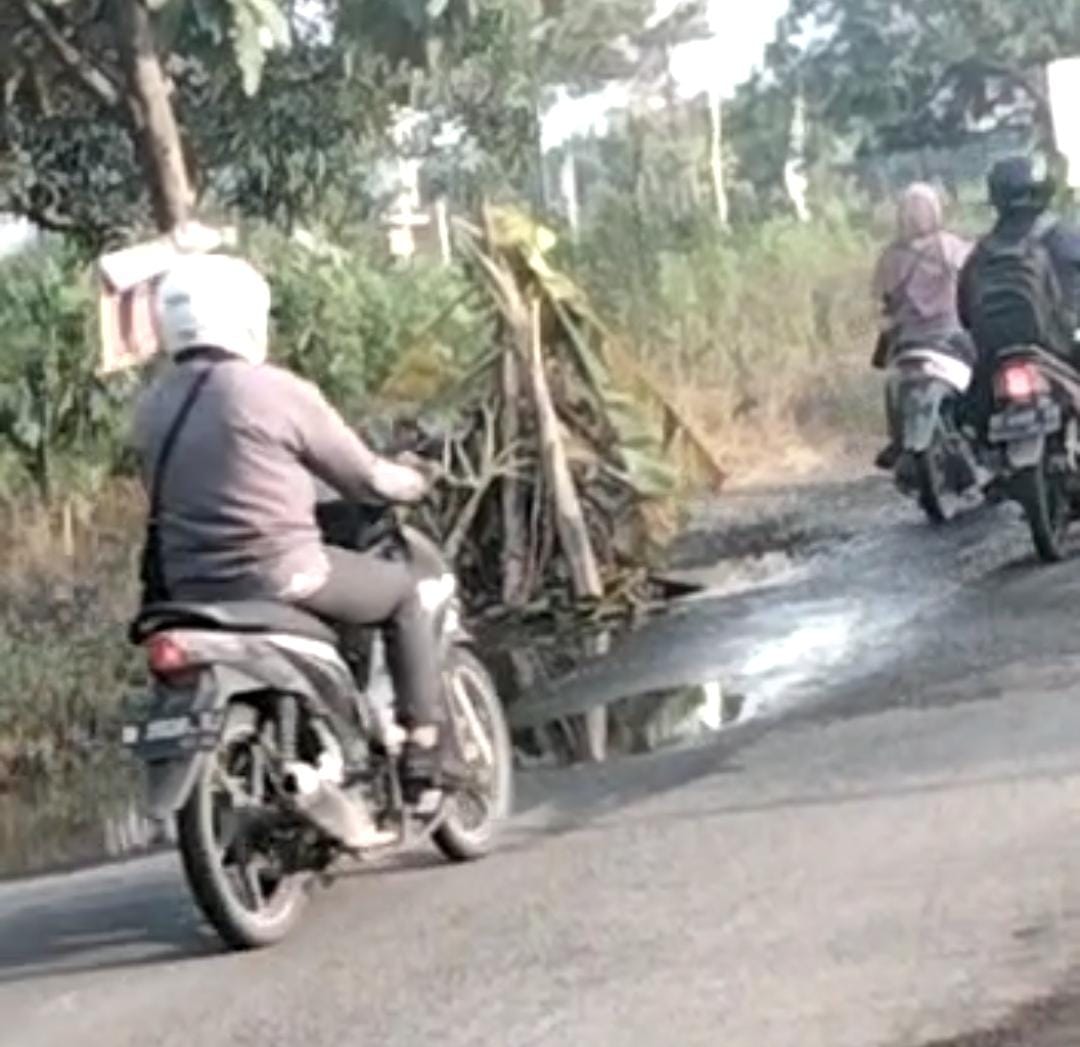 Warga Tanami Pohon Pisang di Jalan Rusak, DPRD Gresik Desak DPUTR Perbaiki Gunakan Aspal Hotmix