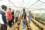 KTNA Gesik Dorong Anak Muda Jadi Petani Milenial Manfaatkan Lahan Tak Produktif