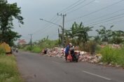 Sampah di TPS Menggunung, DLH Rencana Bentuk Satgas