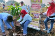 Turunkan  3.389 Anak  Stunting di Gresik, IDI-Dinkes Tanam 500 Pohon Buah