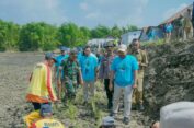 Bupati Gresik Minta Tanggul Kali Lamong Ditanami Rumput Vetiver