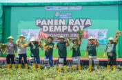 Gunakan Pupuk Komersil PG, Produktivitas  Ubi Cilembu Naik 35.29 Persen