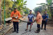 Warga di Gresik Hendak Mandi, Nonggol Ular Piton 3 Meter