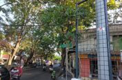 Carut Marut Reklame di Gresik, Bayar Pajak Tapi Tak Kantongi Izin