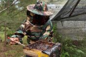 Inovasi Karyawan Semen Baturaja, Lahan Pascatambang Jadi Budidaya Lebah Trigona