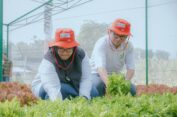 Wabup Bu Min Minta Petrokimia Gresik Support  Hasil Pertanian dan Petani Gresik