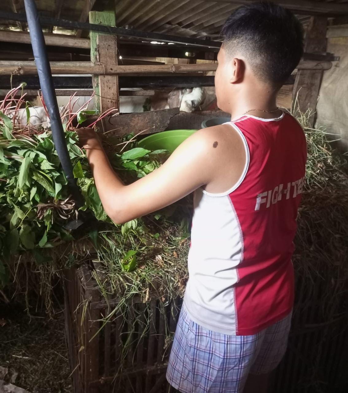 Kerasnya Jalan Hidup Atlet Berprestasi Kickboxing Gresik, Rawat Kambing Tetangga Hingga Jadi Tukang Angkat Galon Air Demi Bisa Sekolah dan Hidupi Keluarga