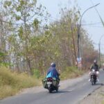 Proyek Pemeliharaan Berkala Jalan Ambles di Driyorejo Molor