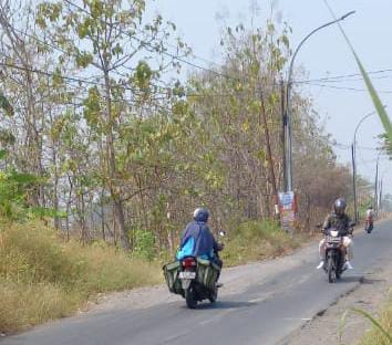 Proyek Pemeliharaan Berkala Jalan Ambles di Driyorejo Molor