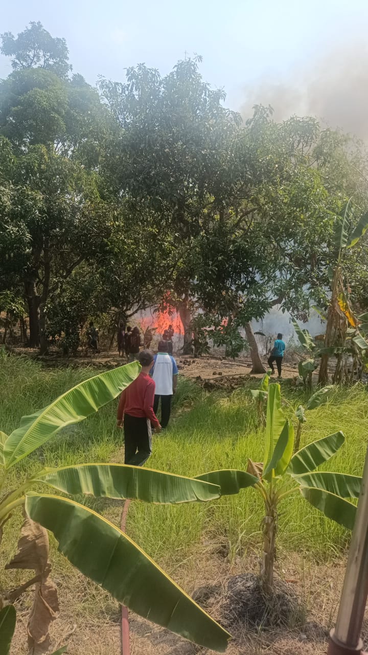 Sehari, Damkarla Gresik Padamkan Tiga Kebakaran Lahan Akibat Orang Bakar Sampah Sembarangan