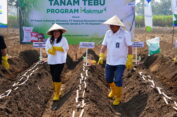 Program Makmur Sukses Pertahankan Jatim Sebagai Lumbung Gula Nasional