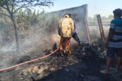 Ilalang Terbakar Sambar Motor hingga Jadi Arang di Gresik