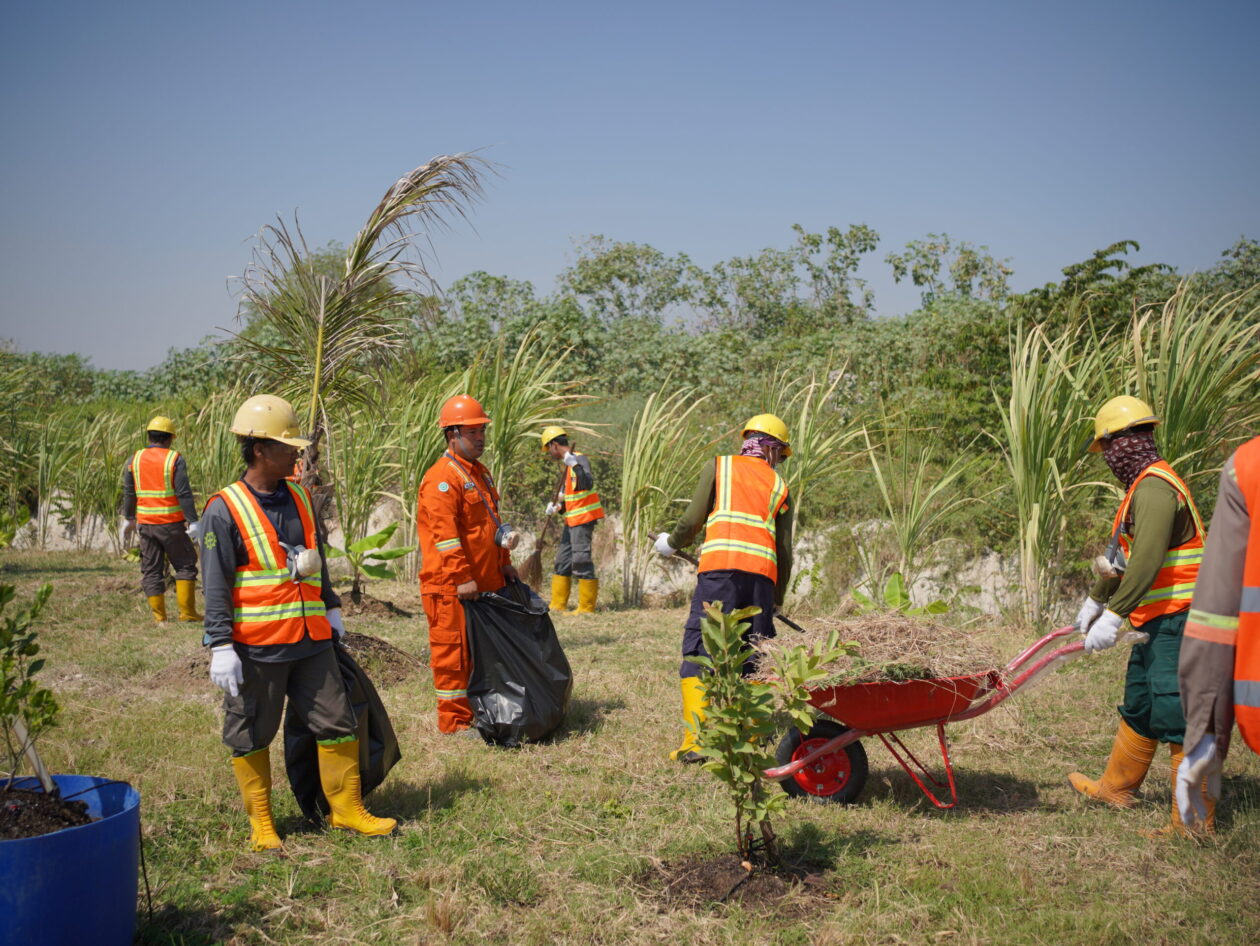 Peringati Harhubnas 2023, PG – KSOP Gresik Kolaborasi Lestarikan Lingkungan di Area Pelabuhan