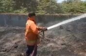 Ngawur Bakar Sampah Nyaris Hanguskan Pabrik Kayu PT Jawa Timur Baru di Gresik