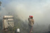 Gudang Kayu Terbakar di Gresik, Kerugian Capai Ratusan Juta