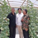 FOSKAM Muhammadiyah Gresik Belajar Tanam Melon di Green House Binaan KTNA