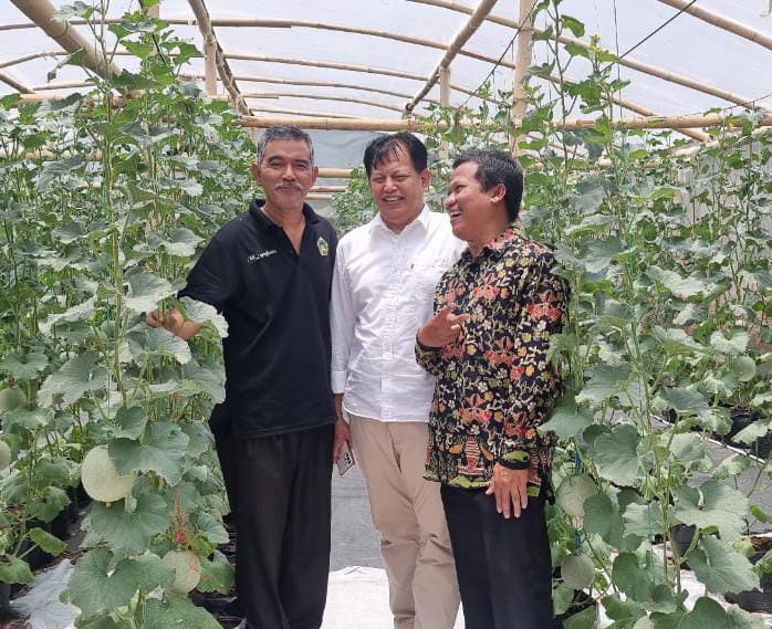 FOSKAM Muhammadiyah Gresik Belajar Tanam Melon di Green House Binaan KTNA