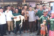 Bantu Kurangi Kemiskinan di Gresik, Baznas Jatim Bantu Kambing Senilai Rp 75 Juta