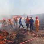 Pabrik Pengolahan Kayu Nyaris Ludes Terbakar di Gresik