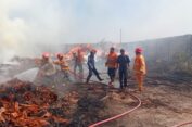 Pabrik Pengolahan Kayu Nyaris Ludes Terbakar di Gresik
